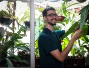 Consultores botânicos querem fazer da sua planta u