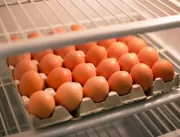 Ovos no Verão - Consumo, Conservação Segura e Bene