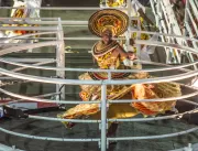 Carnaval de Salvador reverencia blocos afro e terá
