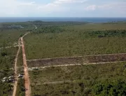 Desmatamento no Pará recua 50% em 6 meses, indicam