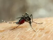 Casos de dengue explodem e estados precisam decret