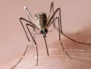 Belo Horizonte começa a vacinar contra a dengue ne