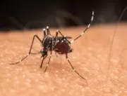 Saúde em Petrópolis confirma a 1ª morte por dengue