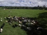 Recordes de abate no Brasil fazem do país líder mu