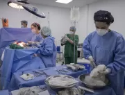 Brasil teve 29 mil transplantes de órgãos em 2023,