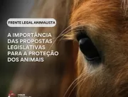 Frente Legal Animalista Lança Banco de Projetos de