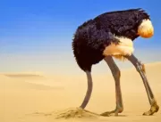 Fábula do empresário avestruz