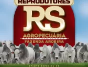 Leilão Virtual Reprodutores RS Agropecuária oferta