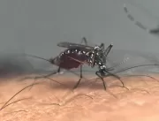Estado de SP ultrapassa 350 mortes por dengue em 2