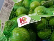 Frutas Katira amplia em 24% a produção de laranja 