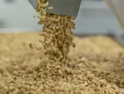 Castanha de caju dá uma surra no pistache