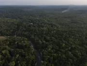 Pará lidera redução de desmatamento na Amazônia em