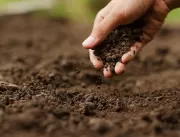 Análise de solo: a importância de fazer antes de p