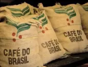 Produtores de café afetados pelas geadas terão aju
