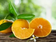 Citros: Baixa oferta faz preço da laranja pera sub