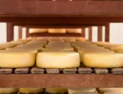 Produtores de queijos artesanais ganham cartilhas 