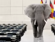 O elefante na sala na COP26: o impacto ambiental d
