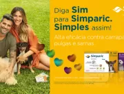 Família Gagliasso é a nova embaixadora de Simparic