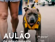 Programa legal para cachorro: Shopping Boulevard r