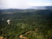 Resiliência da Floresta Amazônica cria janelas de 