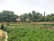 Os guerrilheiros que resistem ao Talibã em um remo
