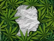 Cannabis medicinal é uma aliada no tratamento de A