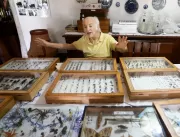 Doação de coleção de borboletas e outros insetos para o Museu Nacional