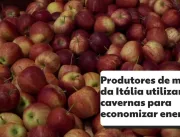 Produtores italianos de frutas usam cavernas como 