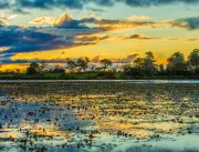 Turismo no Pantanal: conheça o bioma que é cenário