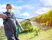 Conheça 5 dicas para adubar árvores frutíferas