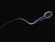 Fertilidade masculina: 5 motivos por trás da queda na contagem dos espermatozoides
