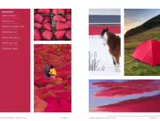Colorfix lança Catálogo Cores & Tendências 2023