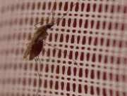 Na Amazônia, amamentação diminuiu risco de malária