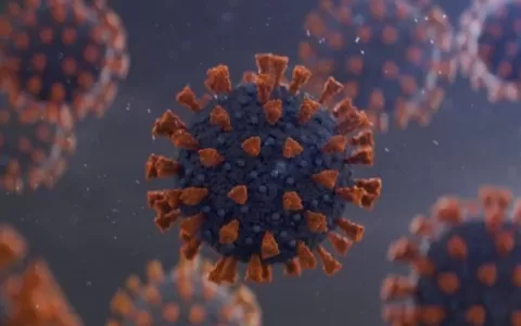 Estudo com autópsias mostra que coronavírus se esp