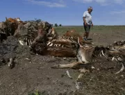 Só os ossos: seca mata milhares de vacas na Argent