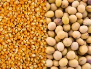 Ubyfol reforça soluções para soja, milho e cereais