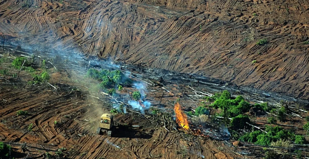 Relatório expõe estrago na política ambiental sob Bolsonaro