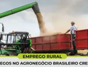 Número de empregos no agronegócio brasileiro cresc