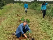 Agricultora do Tocantins reduz em 12% custos na la