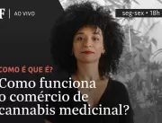 TV Folha explica como funciona o comércio de Canna