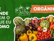 Alimentos orgânicos: produção envolve guerra de in