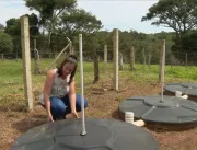 Fossa séptica biodigestora: curso gratuito mostra como fazer sistema de saneamento que não contamina o solo