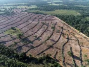 Globo Rural descobre grande área desmatada em MS; 