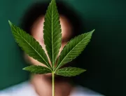 STJ autoriza cultivo de 354 mudas de Cannabis