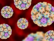 Autoteste para diagnóstico de HPV é lançado no Bra