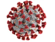 Novo teste detecta infecção por coronavírus em dif