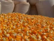 Milhares de toneladas de grãos estão estocadas a c