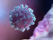CDC dos EUA rastreia nova linhagem de vírus que ca