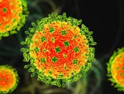 Nipah: quais são as chances de vírus mortal chegar