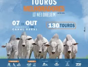 9° Leilão Nelore JEM oferta 130 touros de excelênc